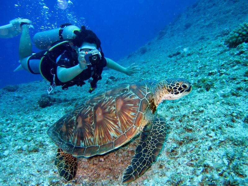 immersioni-sub-viaggi-natura